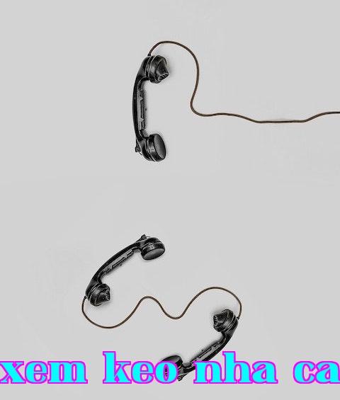 Công ty Cổ phần Hồng Ý - Liên hệ chúng tôi
